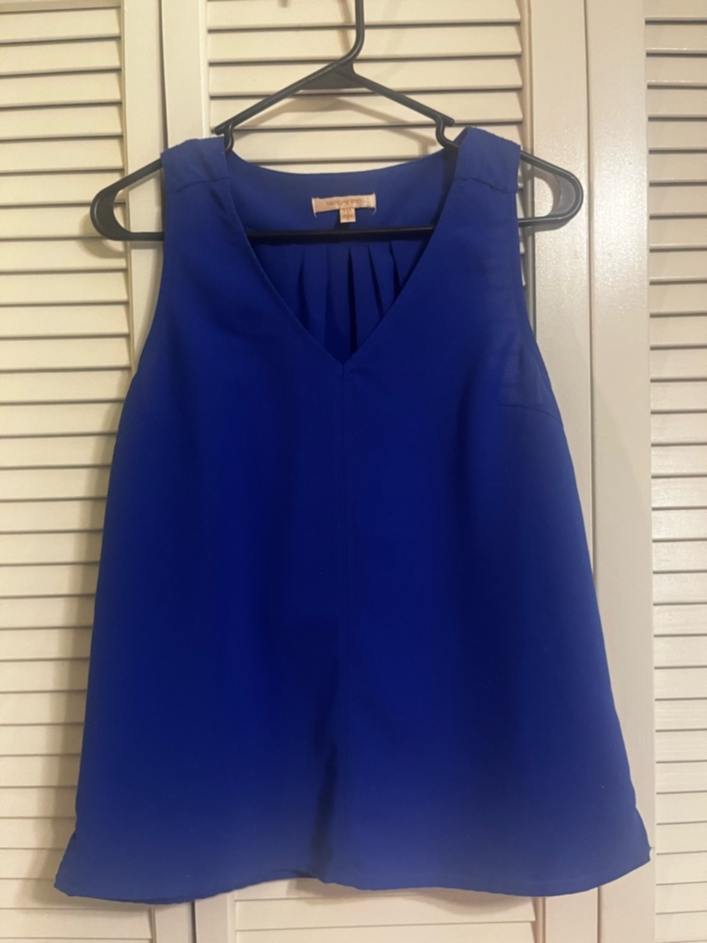 Skies Are Blue Sleeveless V-Neck Tank in Royal Blue